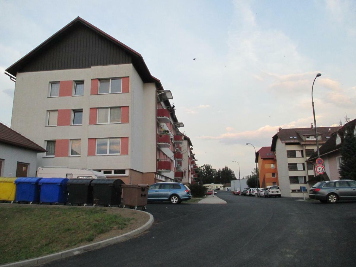 Apartman Petra Horní Planá Extérieur photo